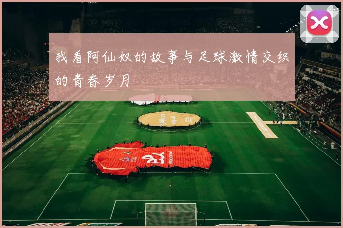 我看阿仙奴的故事与足球激情交织的青春岁月